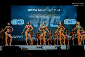 BIKINI НОВИЧКИ +164